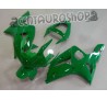 Carena in ABS Kawasaki ZX-6R Ninja 636 03-04 colorazione Green