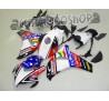 Carena in ABS Honda CBR 1000 RR 08 09 colorazione Eurobet