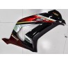 Carena in ABS Kawasaki ZX-10R Ninja 16 - 19 MotoGP Custom