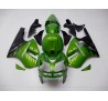 Carena in ABS Kawasaki ZX-12R Ninja 02-06 Flaming Green