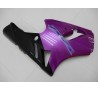 Carena in ABS Kawasaki ZX-12R Ninja 02-06 Purple Dream