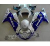 Carena in ABS Suzuki GSX-R 600 e 750 01-03 colorazione Jordan